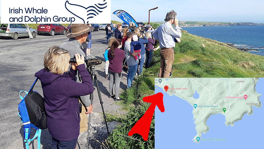 Cloghna Head (aka Wild Atlantic Way Discovery Point)