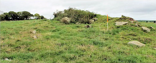 The Cillíní of Timoleague, Barryroe & Kilbrittain