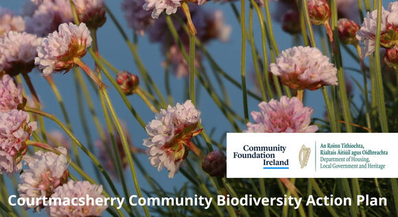 Courtmacsherry Flora Stroll - 20 June 2026 Courtmacsherry Flora Stroll - 20 June 2026