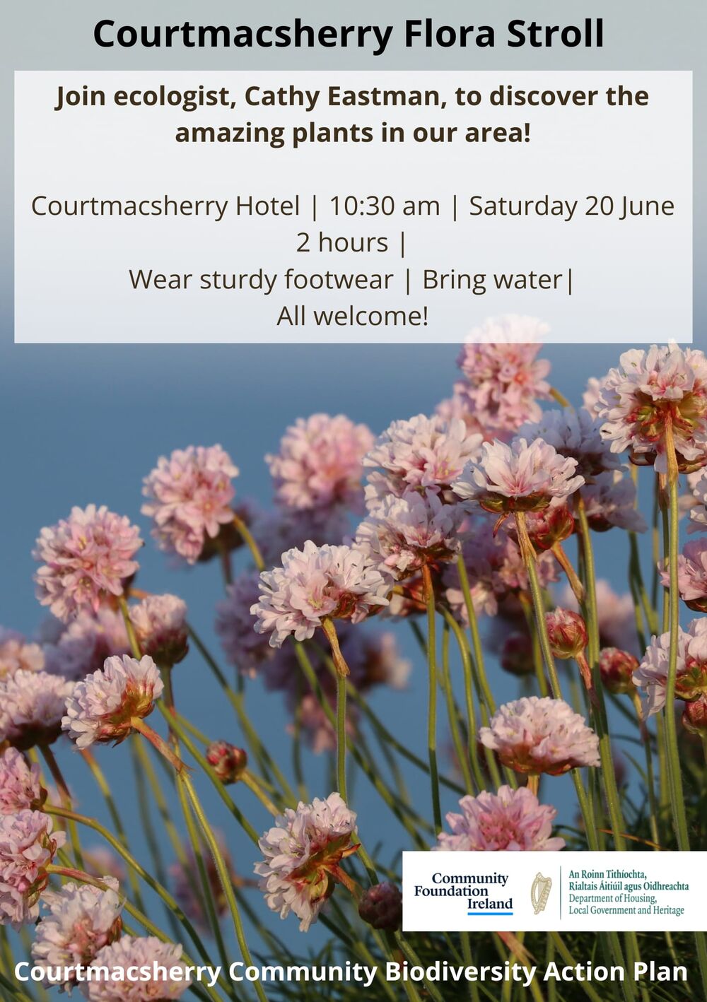 Courtmacsherry Flora Stroll: 20 June 2026