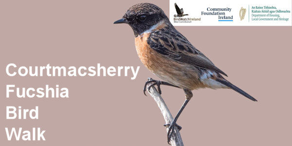 Courtmacsherry Fucshia Bird Walk: 7 June 2026