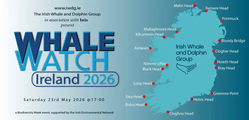 Whale Watch Ireland 2026
